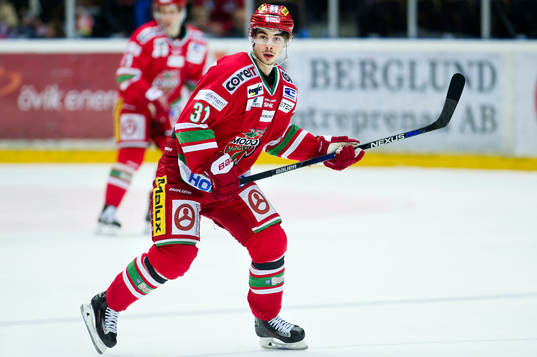 Modos Gustav Possler