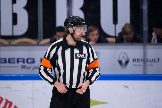 Domare Mikael Sjöqvist