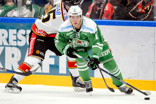 Rögles David Åslin