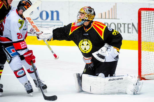 Brynäs målvakt Bernhard Starkbaum