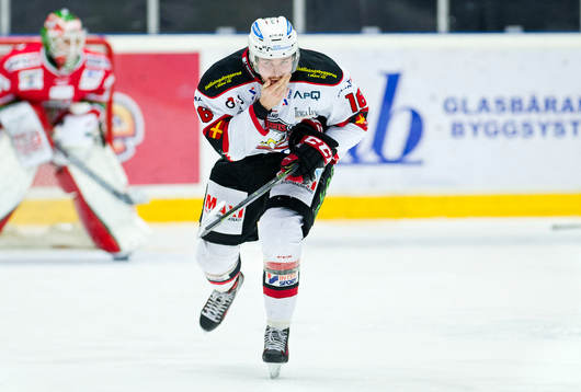 Malmös Magnus Häggström