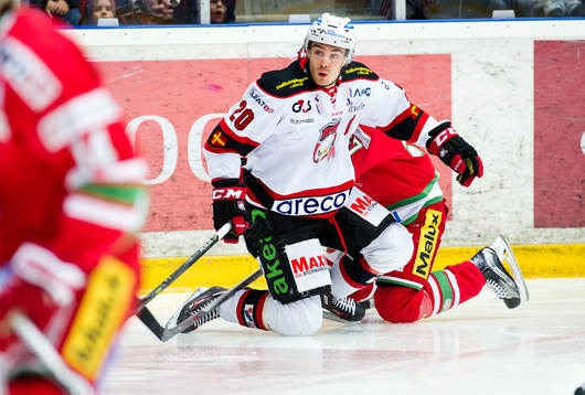 Malmös Henrik Hetta