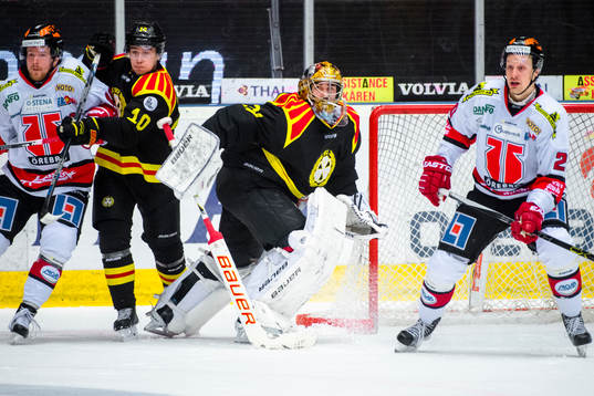 Brynäs målvakt Bernhard Starkbaum felvänd