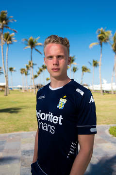 Hjörtur Hermannsson