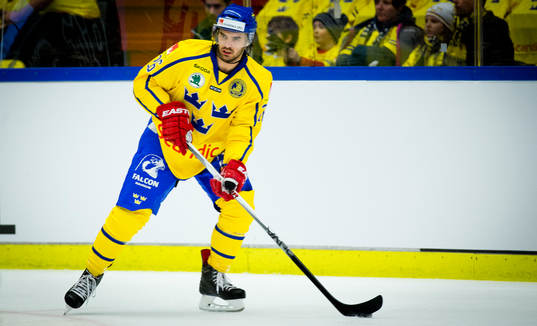 Sveriges Martin Johansson
