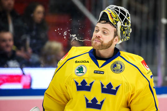Sveriges målvakt Markus Svensson