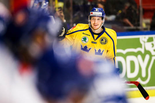 Sveriges Niclas Burström jublar