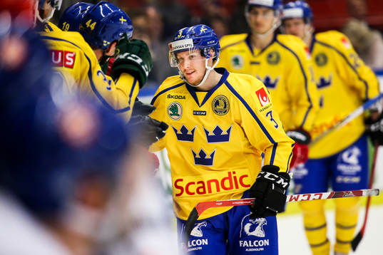 Sveriges Niclas Burström jublar
