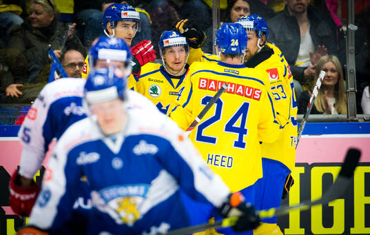 Sveriges Niclas Burström gör 2-0 och jublar med Johan