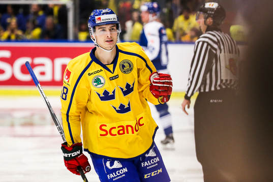 Sveriges Johan Sundström jublar