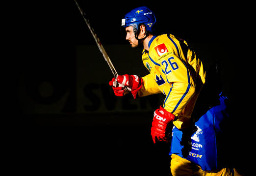Sveriges Martin Johansson