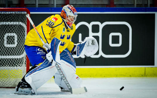 Sveriges målvakt Viktor Fasth