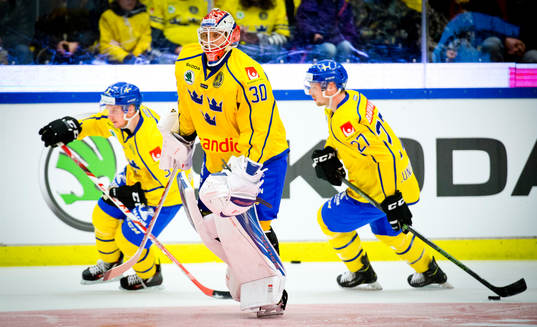 Sveriges målvakt Viktor Fasth