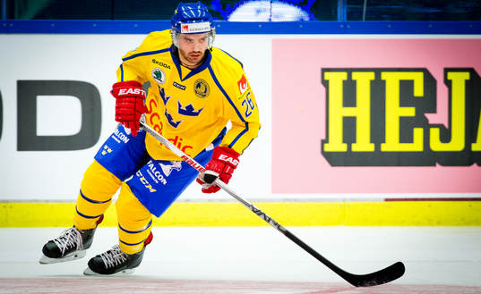 Sveriges Martin Johansson