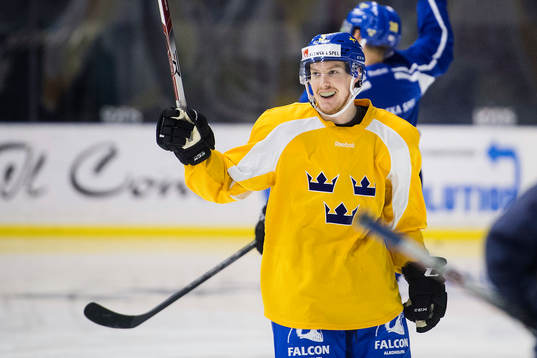 Niclas Burström jublar