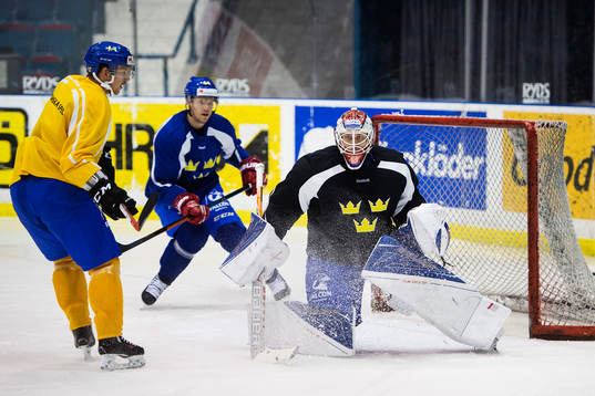 målvakt Viktor Fasth