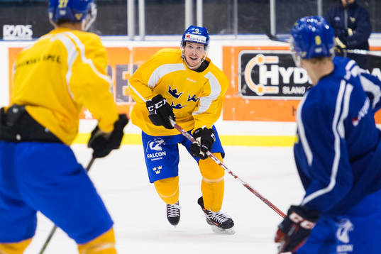 Niclas Burström