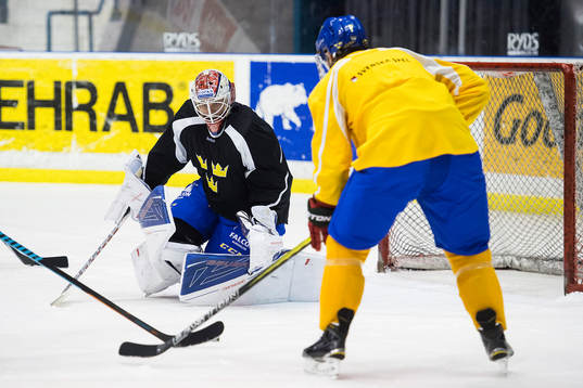målvakt Viktor Fasth