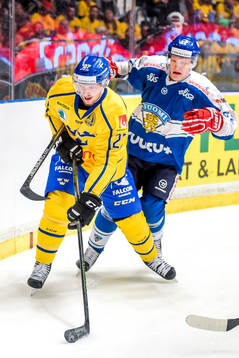 Sveriges Martin Lundberg och Finlands Ilari Filppula