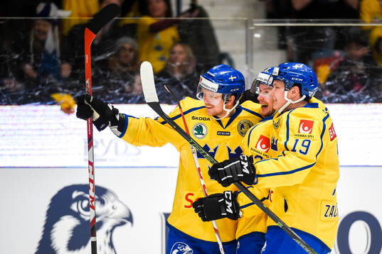 Sveriges Tim Heed jublar