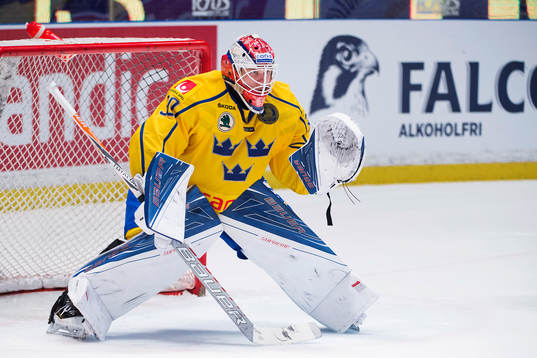Sveriges målvakt Viktor Fasth
