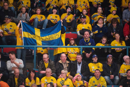 Svenska supportrar