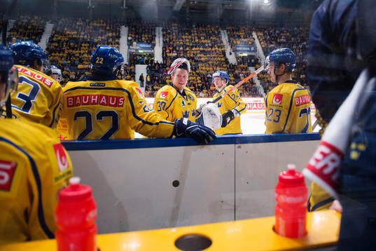 Sveriges målvakt Viktor Fasth
