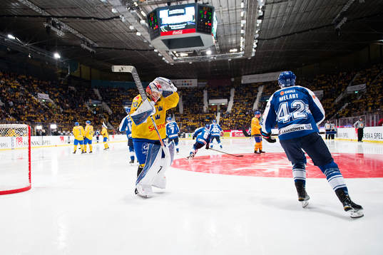 Sveriges målvakt Viktor Fasth