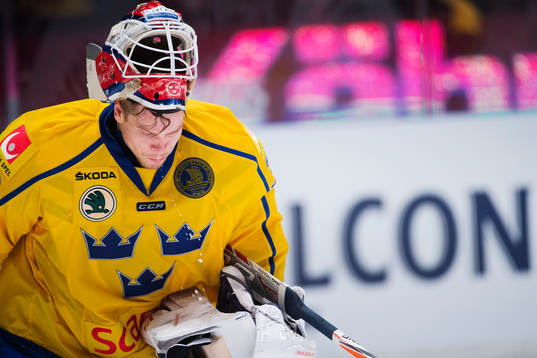 Sveriges målvakt Viktor Fasth