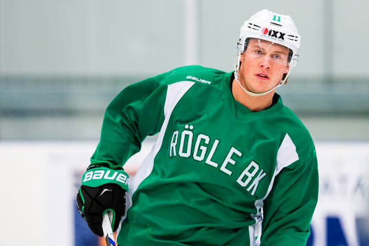 Rögles David Åslin
