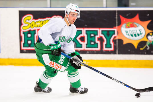 Rögles Dominik Granak