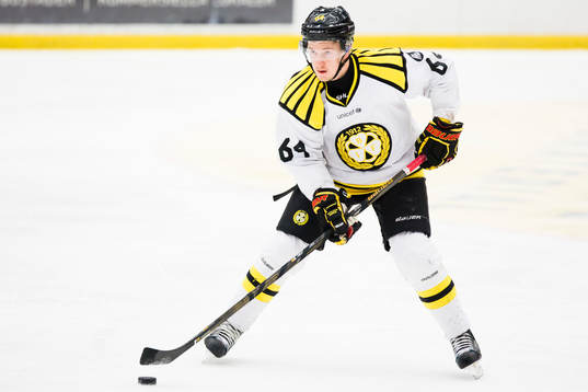 Brynäs Jonathan Pudas