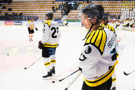 Brynäs Terry Broadhurst