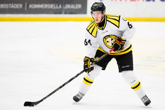 Brynäs Jonathan Pudas