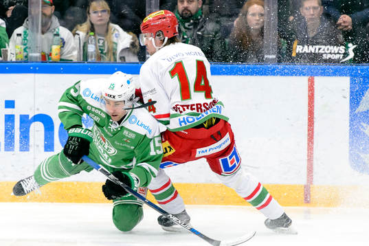 Rögles Dominik Granak