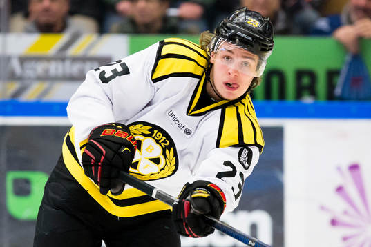 Brynäs Lucas Carlsson
