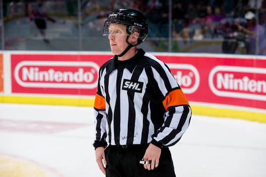 Domare Mikael Holm