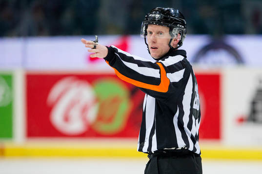 Domare Mikael Holm