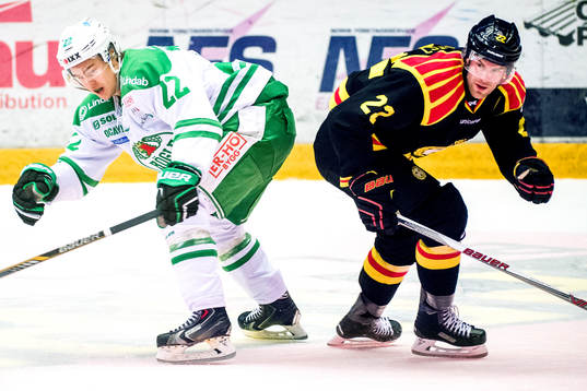 Bläddra bland fler bilder av Ishockey, SHL, Brynäs - Rögle