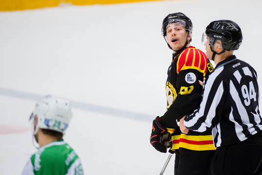 Brynäs Sebastian Enterfeldt