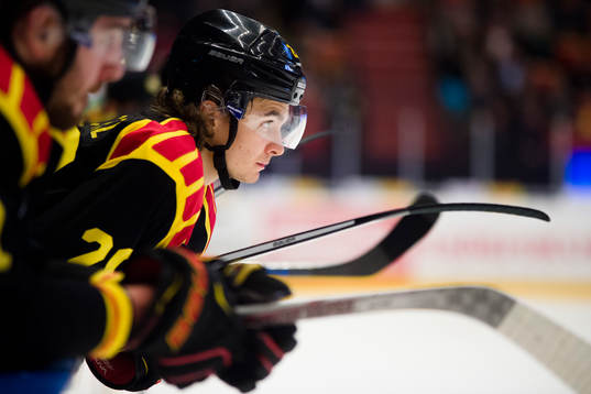 Brynäs Adam Brodecki deppar