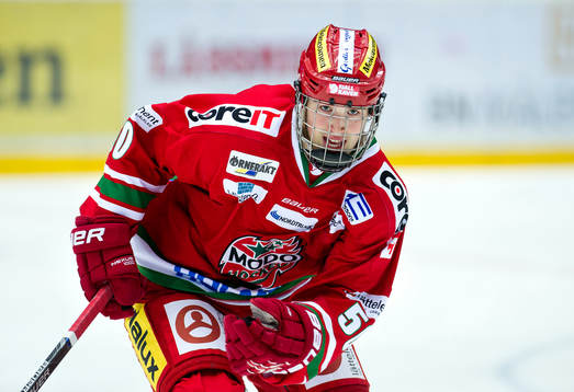 Modos Tim Wahlgren
