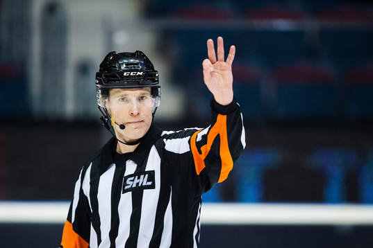 Domare Tobias Björk