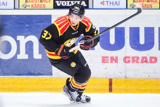 Brynäs Terry Broadhurst