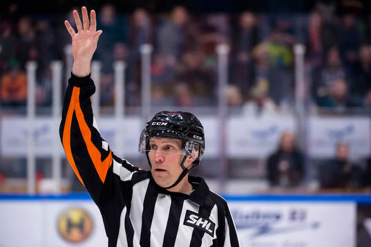 Domare Morgan Johansson