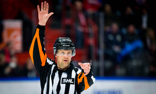 Domare Mikael Nord