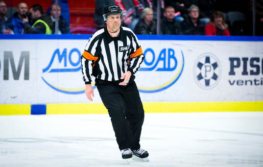 Domare Mikael Nord