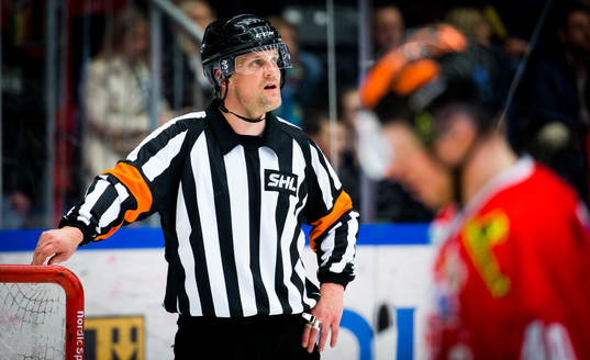 Domare Mikael Nord