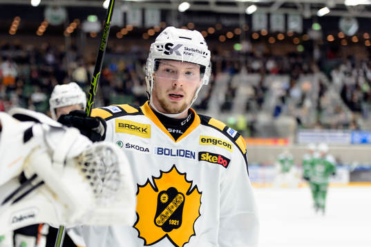 Skellefteås Martin Lundberg jublar med båset