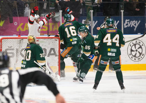 Malmö Redhawks  spelare jublar vid mål 0-2